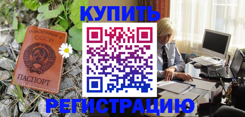 временная регистрация поиск в Завитинске
