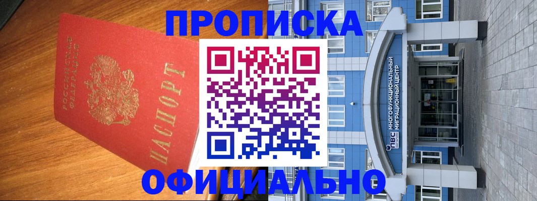 временная регистрация для школы в Завитинске